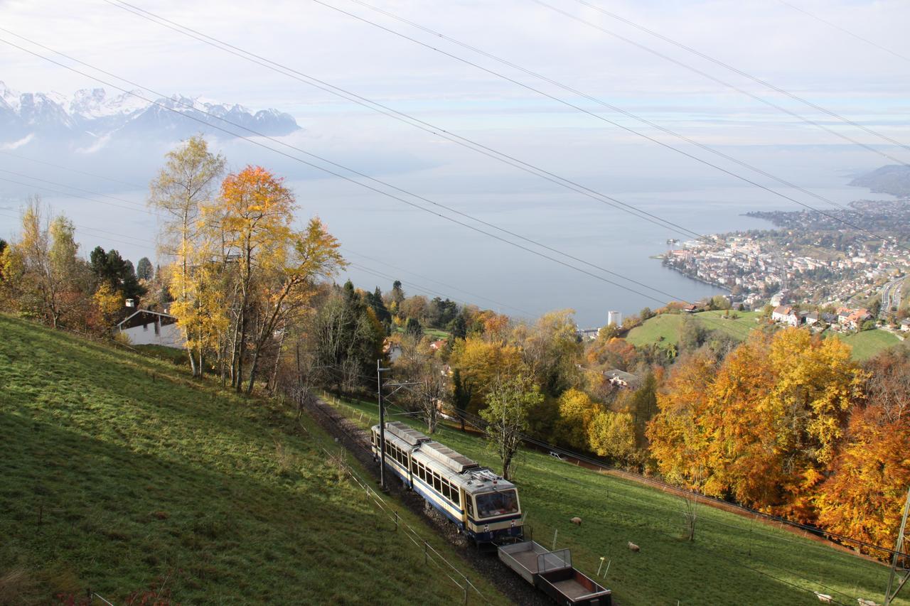 Gais Alpins Villa Montreux Luaran gambar