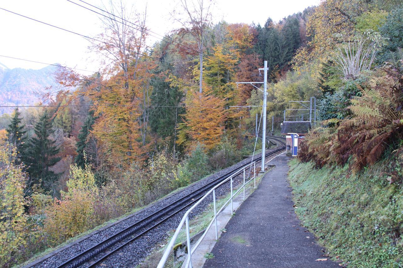 Gais Alpins Villa Montreux Luaran gambar