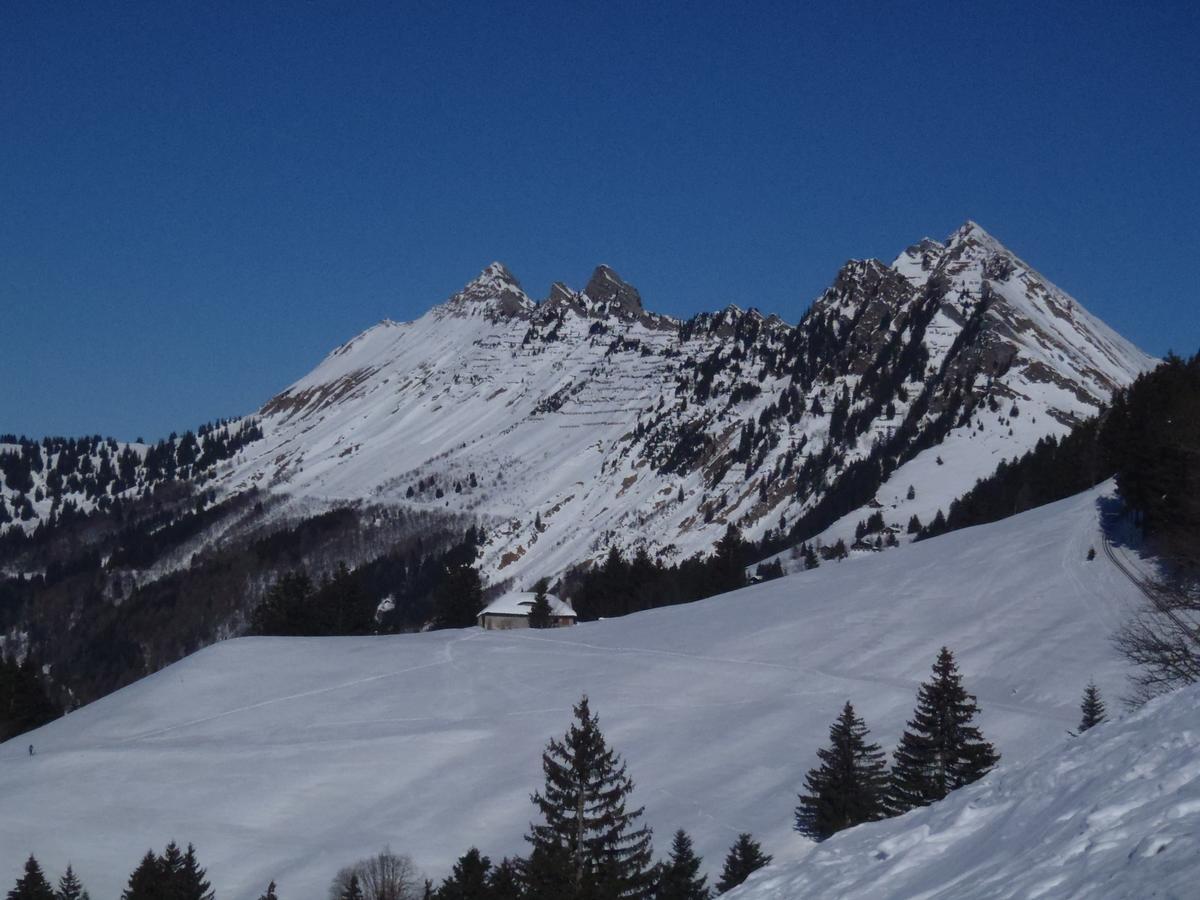 Gais Alpins Villa Montreux Luaran gambar